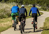 Photo of three people riding bikes up a hill